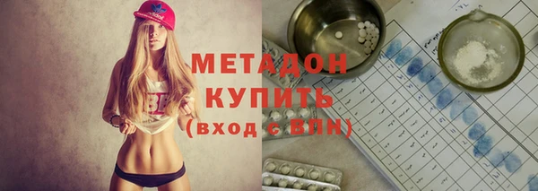 крисы Алзамай